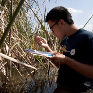 UCI professor Peter Bowler lab practicals in San Joaquin Marsh
photo: Nicole Del Castillo/UC Irvine Communications