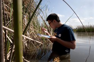 biology phd programs in california