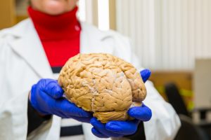 Neurobiology and Behavior Woman holding Brain