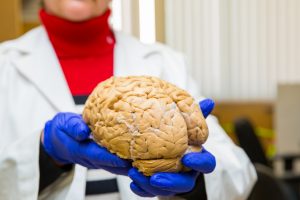 Woman holding Brain