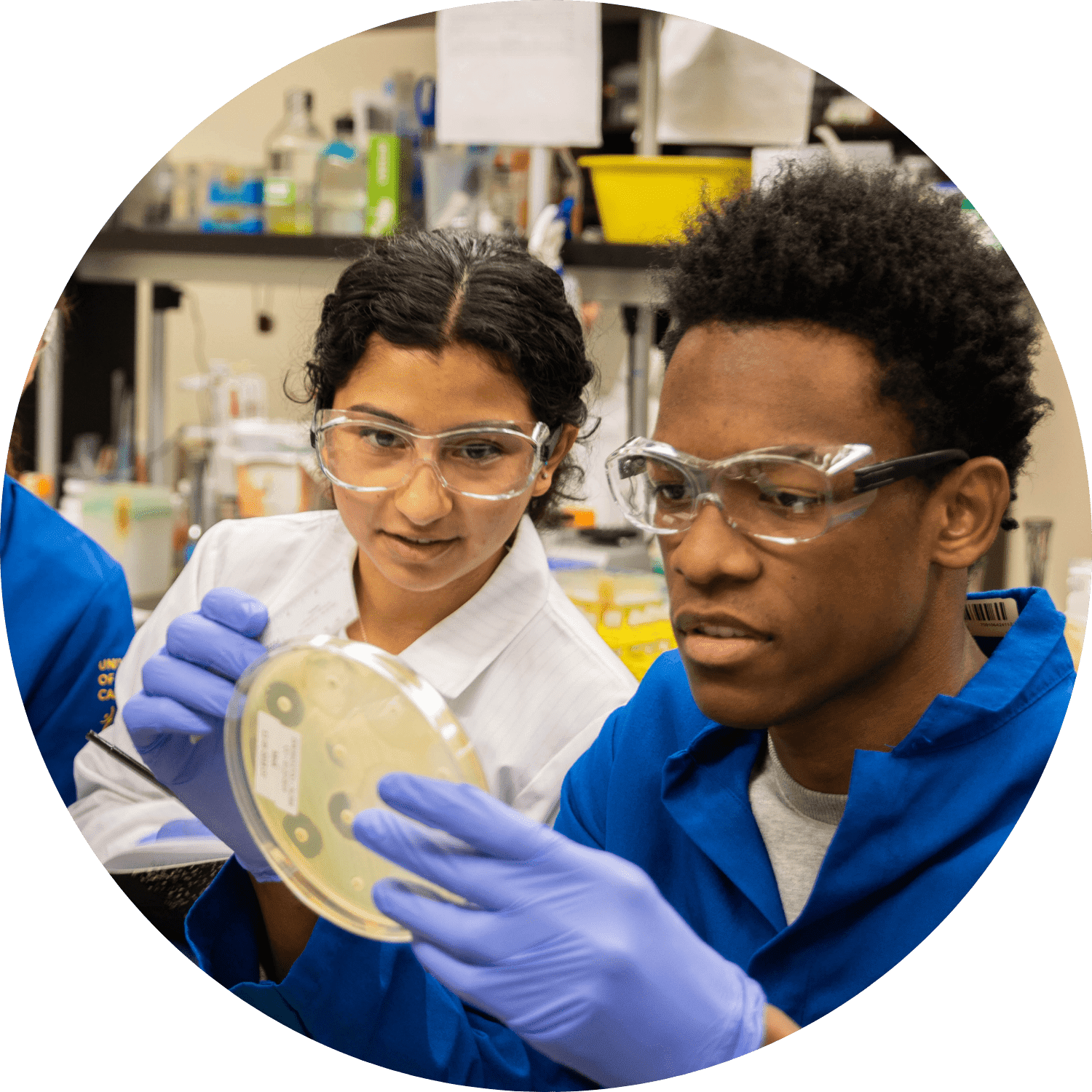 Two students observing a petri dish together