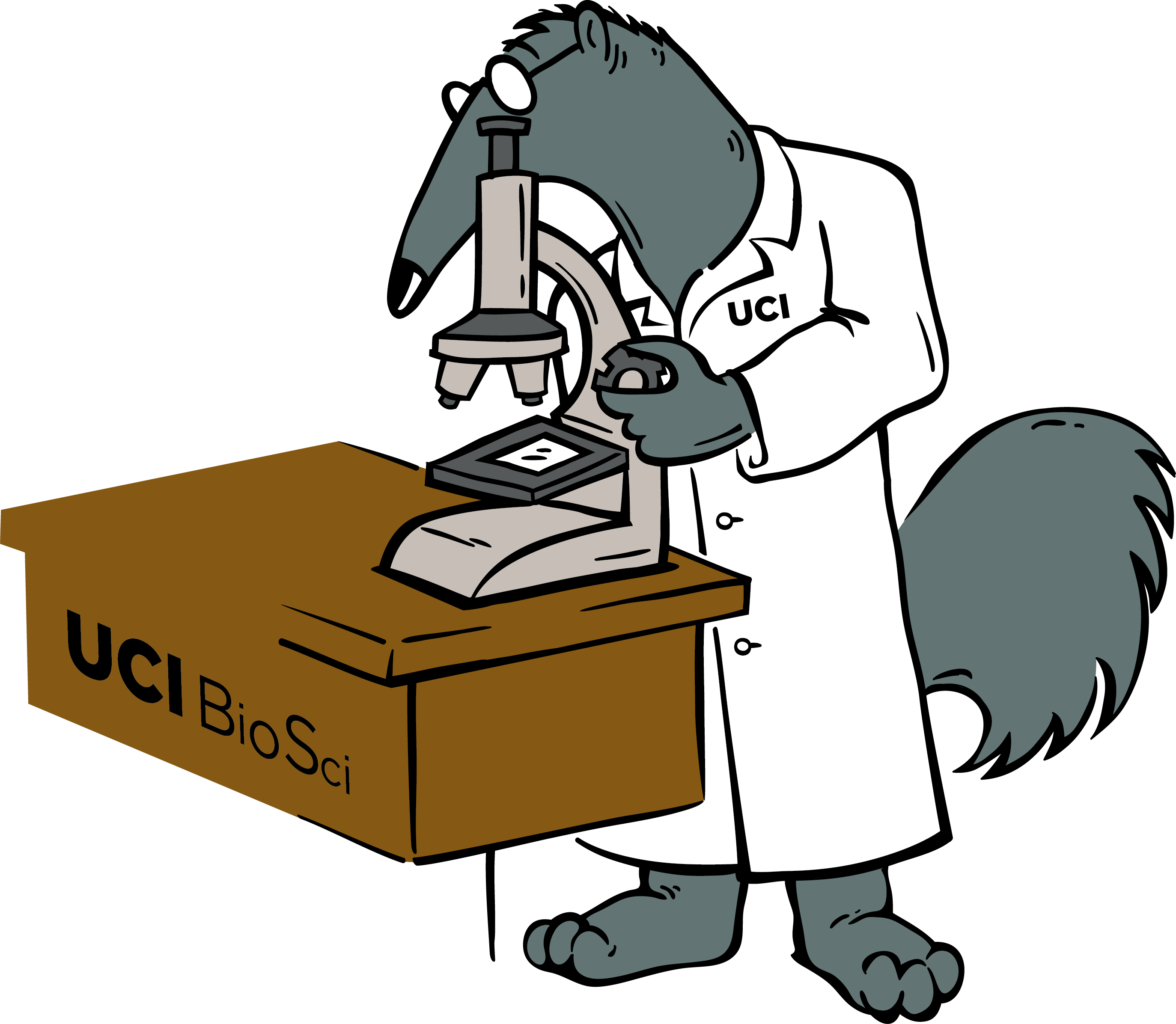 Anteater with research coat