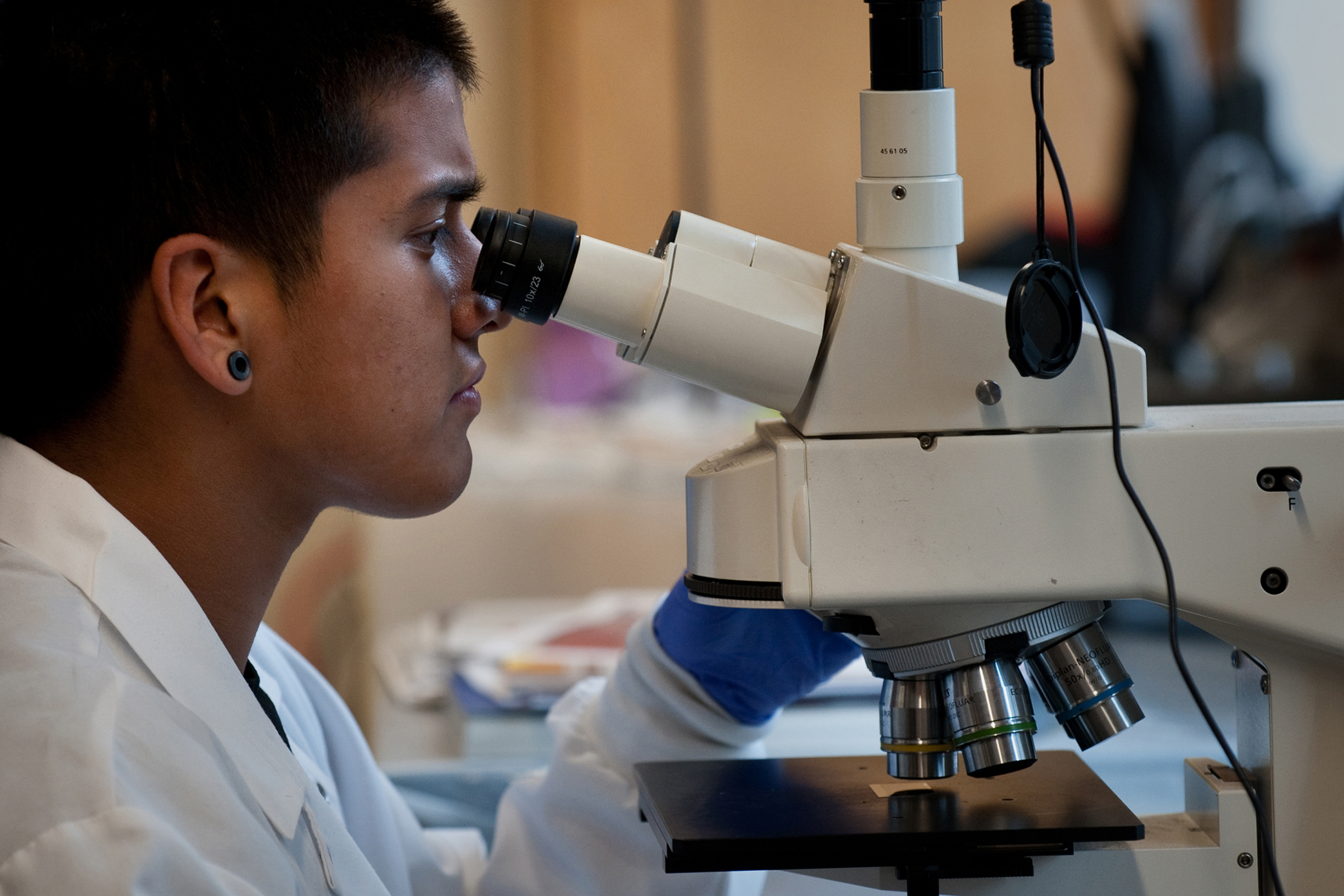 Student observing microscope