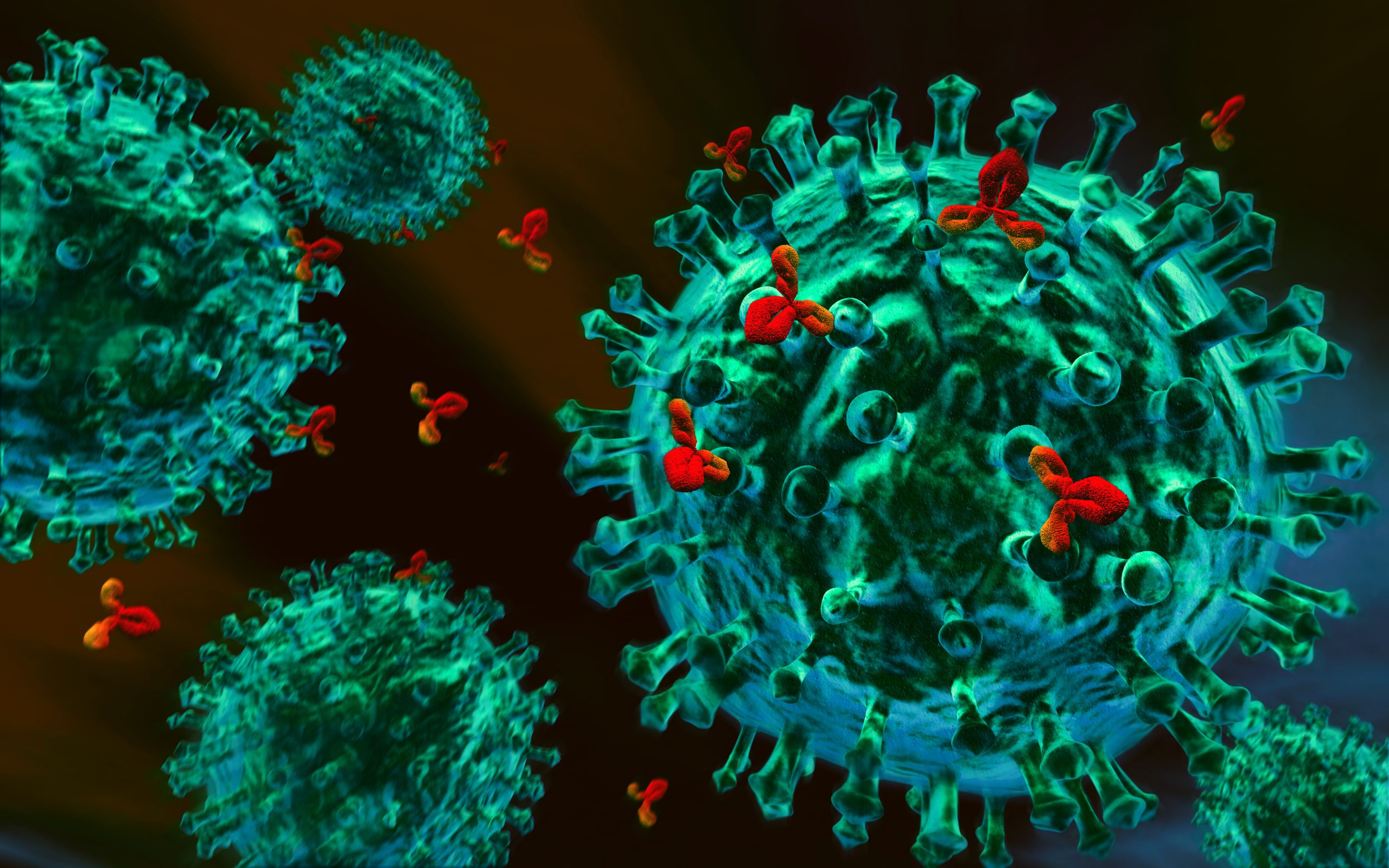 3d antikrper gegen virus