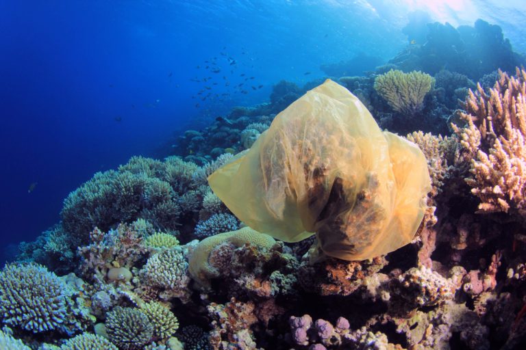 Plastic in the Ocean