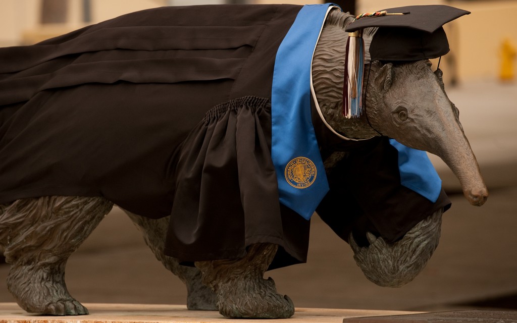 Graduating Anteater with gown and cap