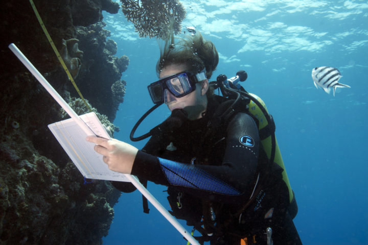 Dr Joleah Lamb surveying coral