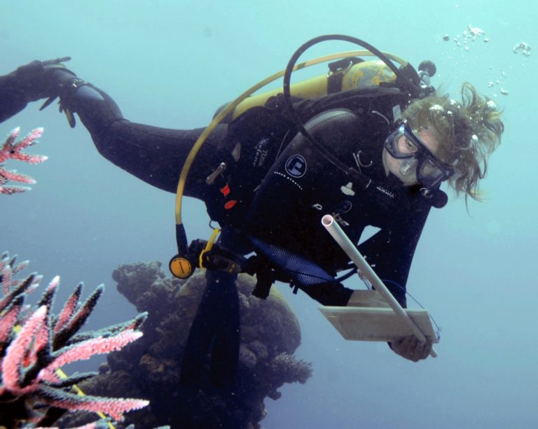 Scuba diver examining marine life