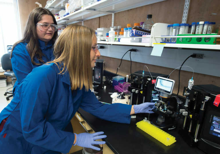 Two scientists in a lab conducting an experiment