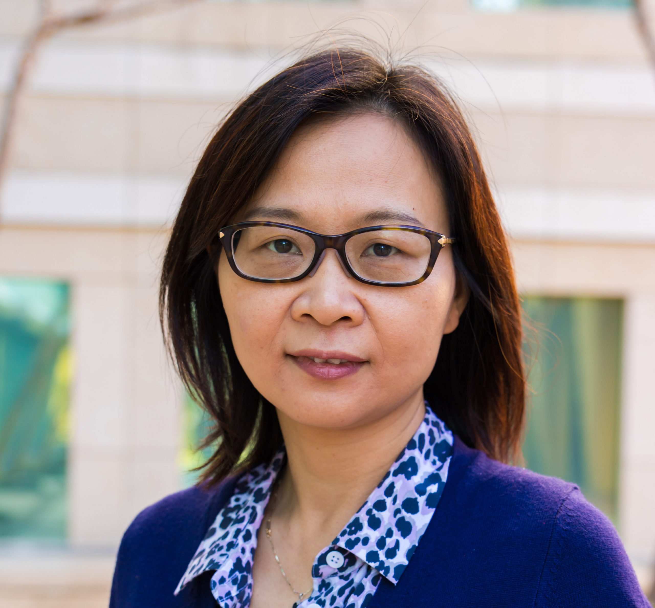 Headshot of Mei Kong, PhD.