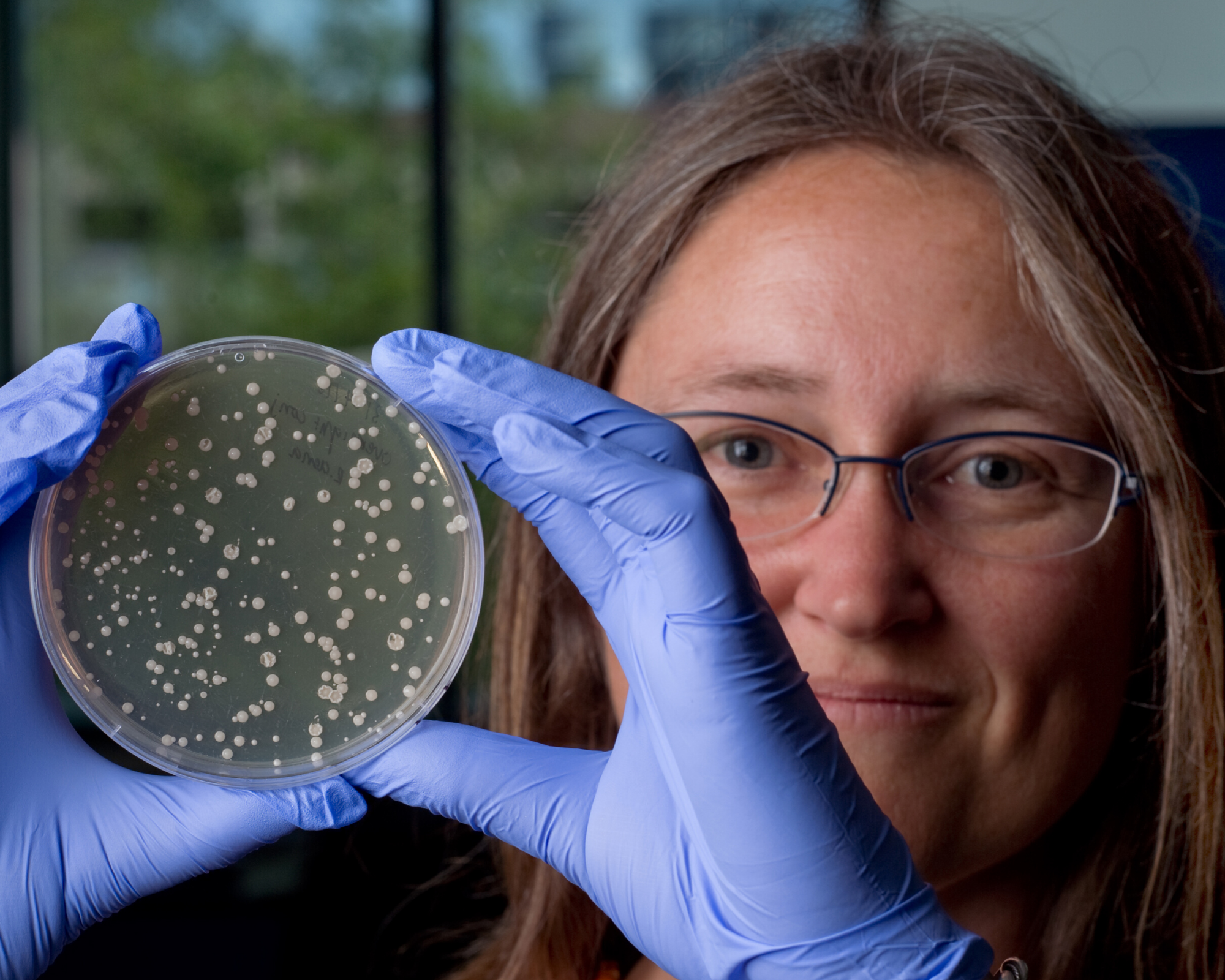 Katrine Whiteson, PhD. holding up a petri dish with specimens shown inside