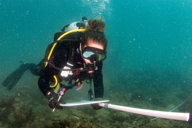 Picture of Joleah Lamb Scuba Diving