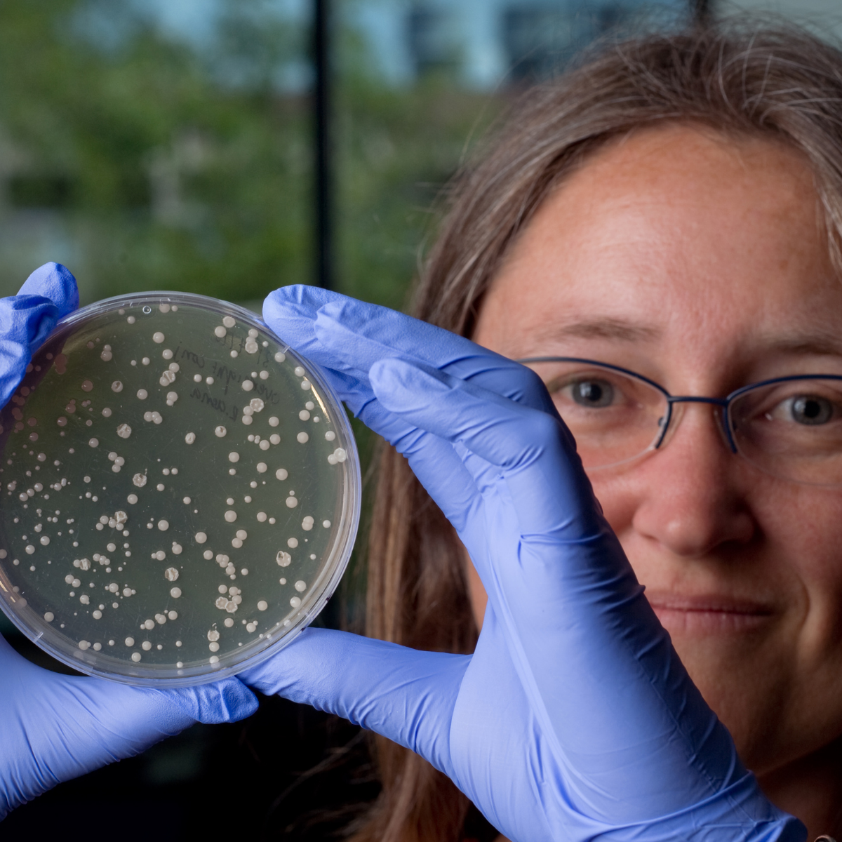 Katrina Whiteson, PhD. holding up a petri dish