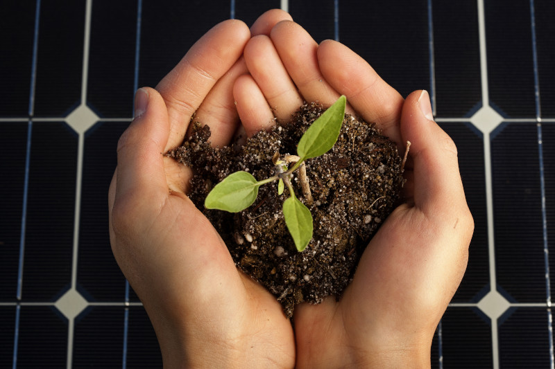 soil with a plant growing from it in the palms of a persons hand with a blue tile backdrop