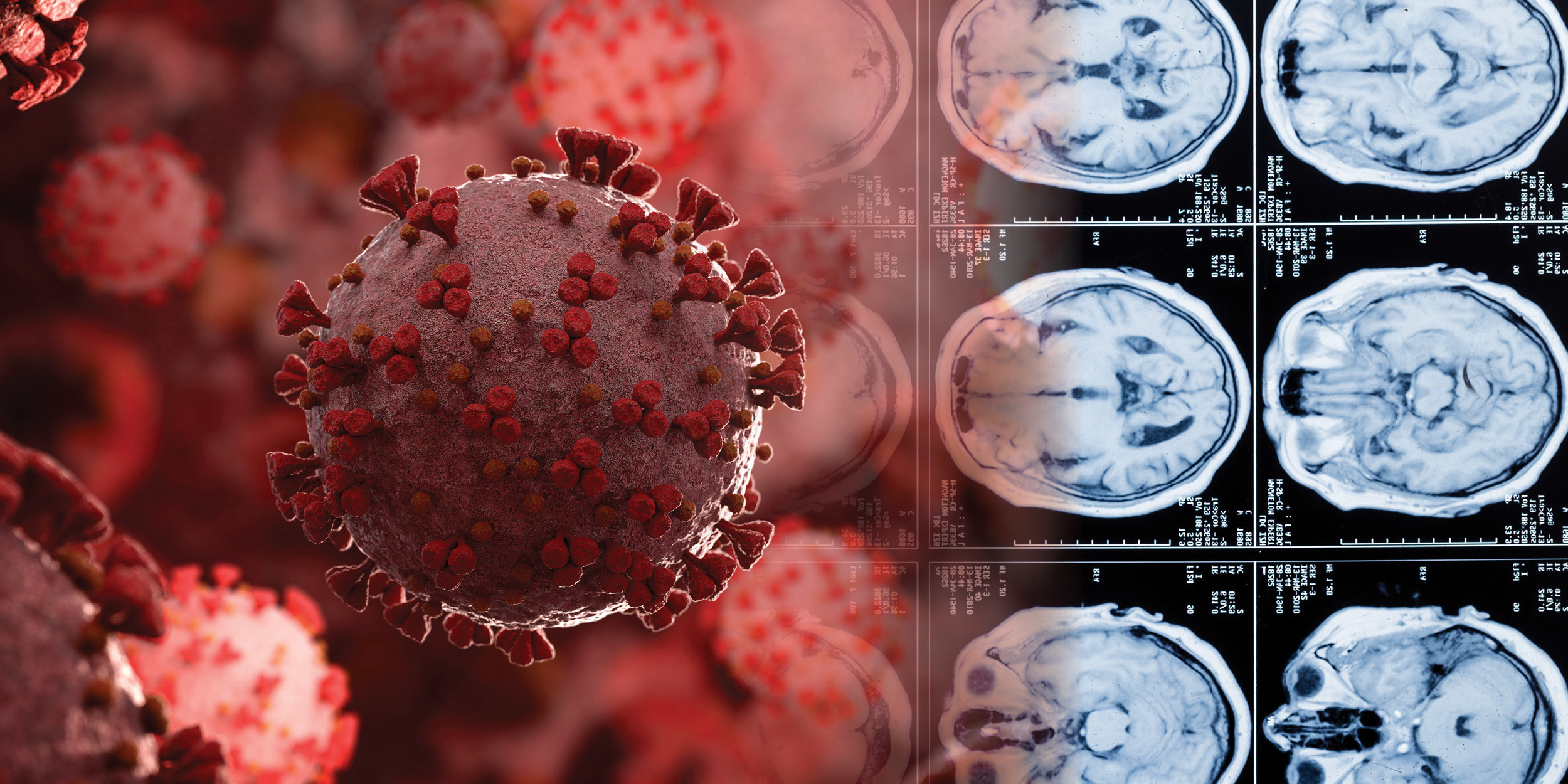 Image of the Coronavirus & icon of a brain