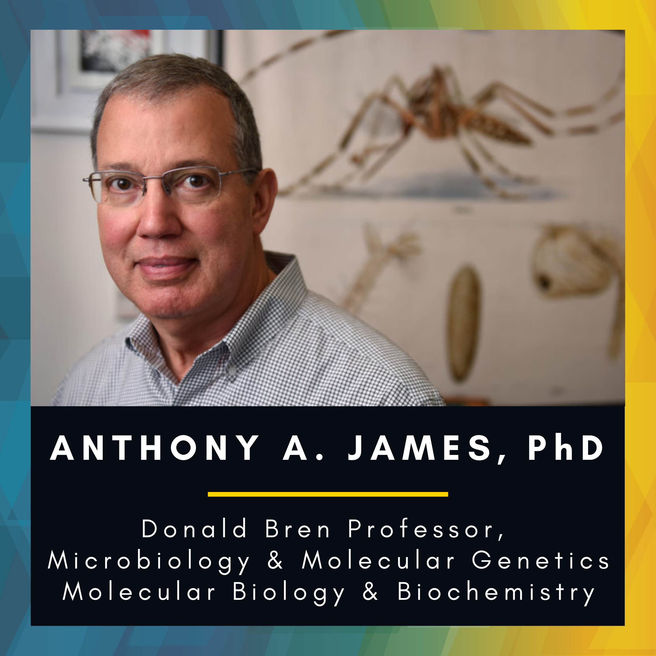 Headshot of Anthony A. James, PhD. with words Anthony A. James, PhD. Donald Bren Professor, Microbiology & Molecular Genetics Molecular Biology & Biochemistry below the picture