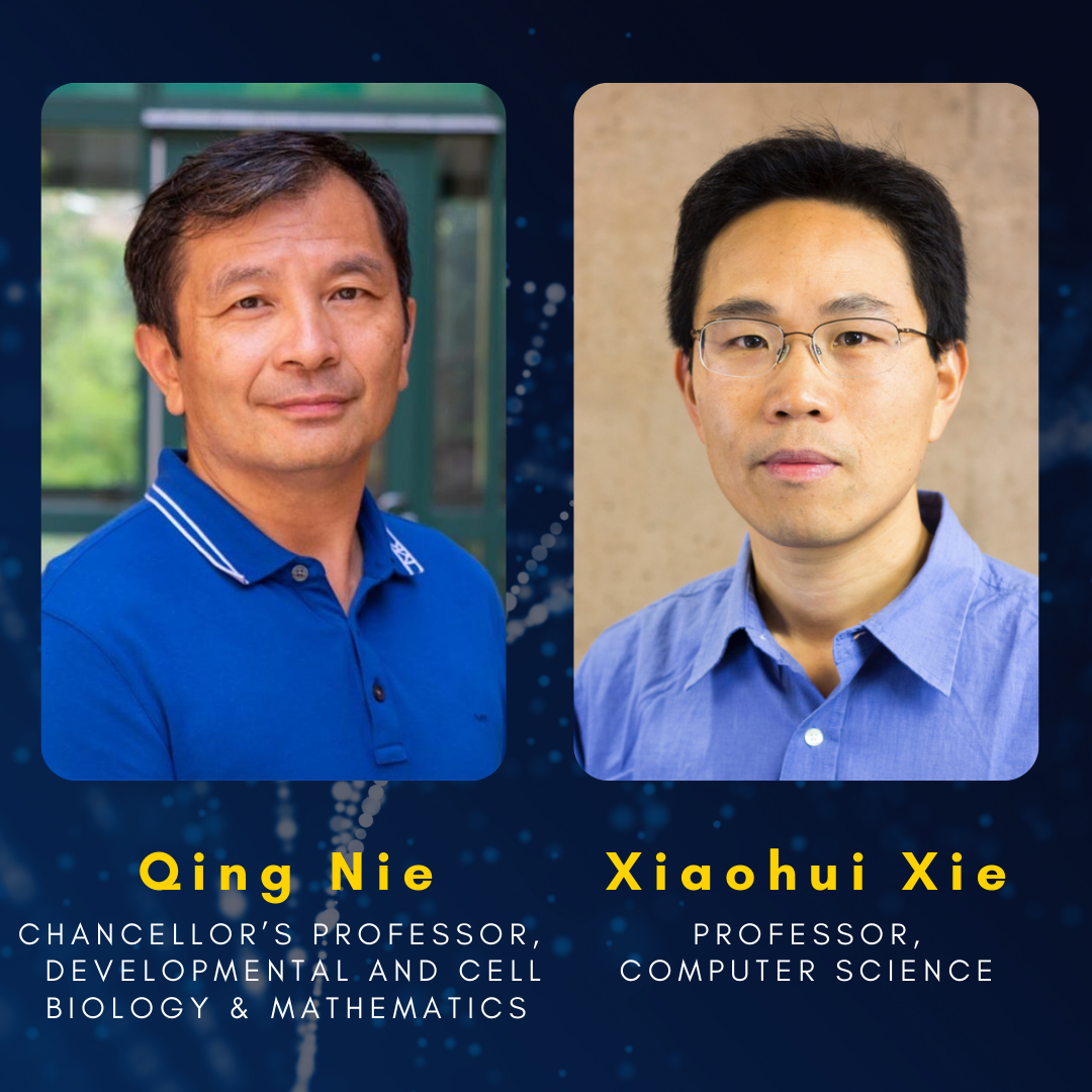 UCI scientists develop a new deep-learning framework that predicts gene regulation at the single-cell level