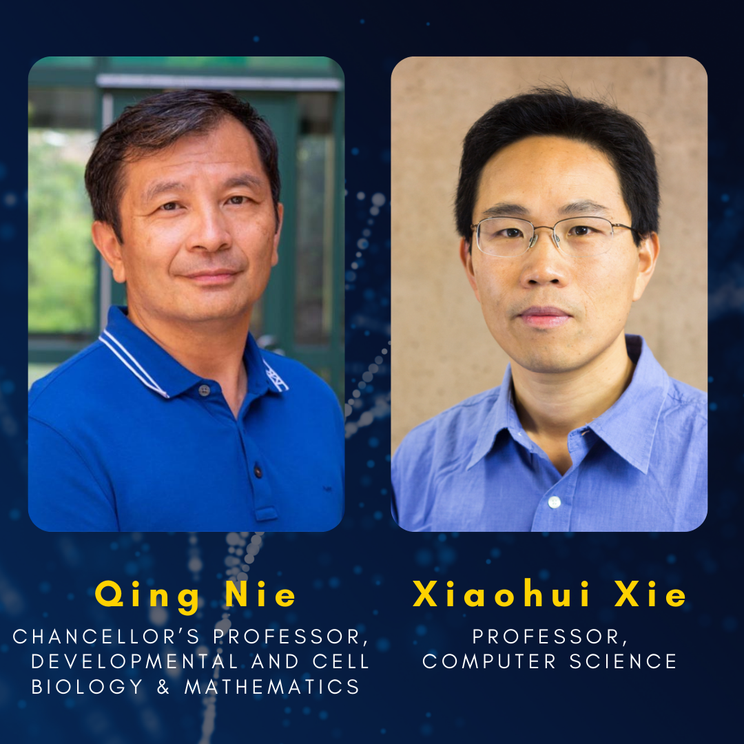 Headshot of professor Qing Nie: Chancellor's professor, developmental and cell biology and mathematics, next to headshot of Professor Xiaohui Xie: Professor of computer science