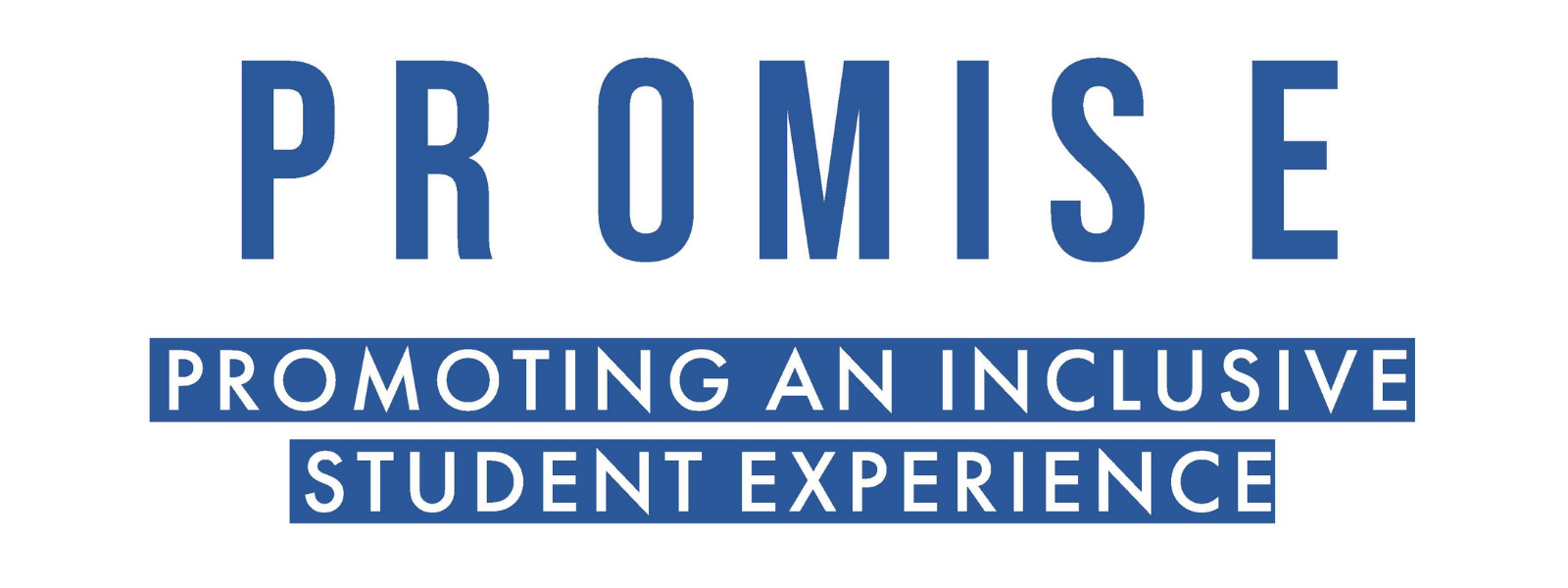 Banner saying Promise: Promoting An Inclusive Student Experience