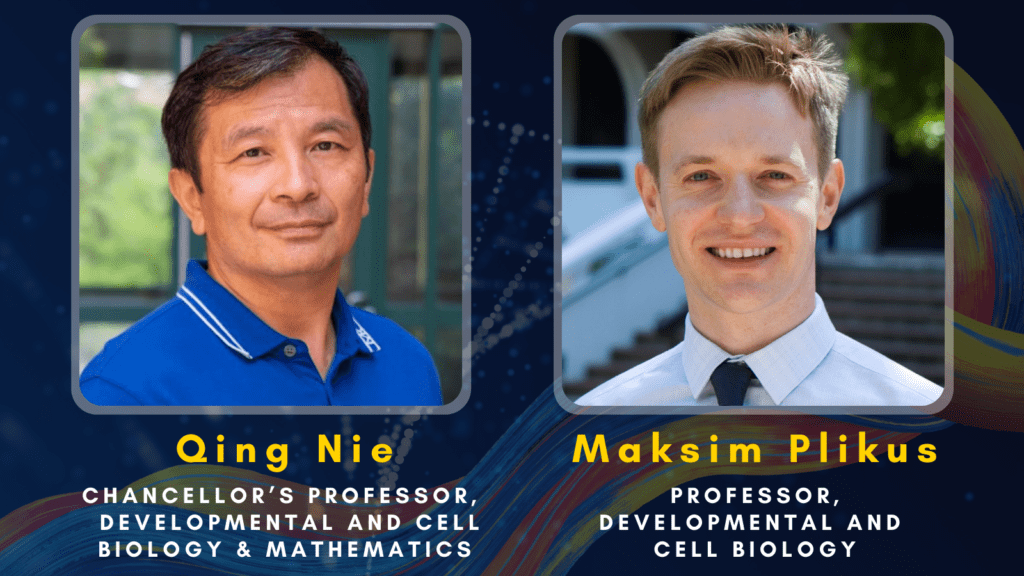 There are 2 headshots of Dunlop School Professors, including Qing Nie and Maksim Plikus.