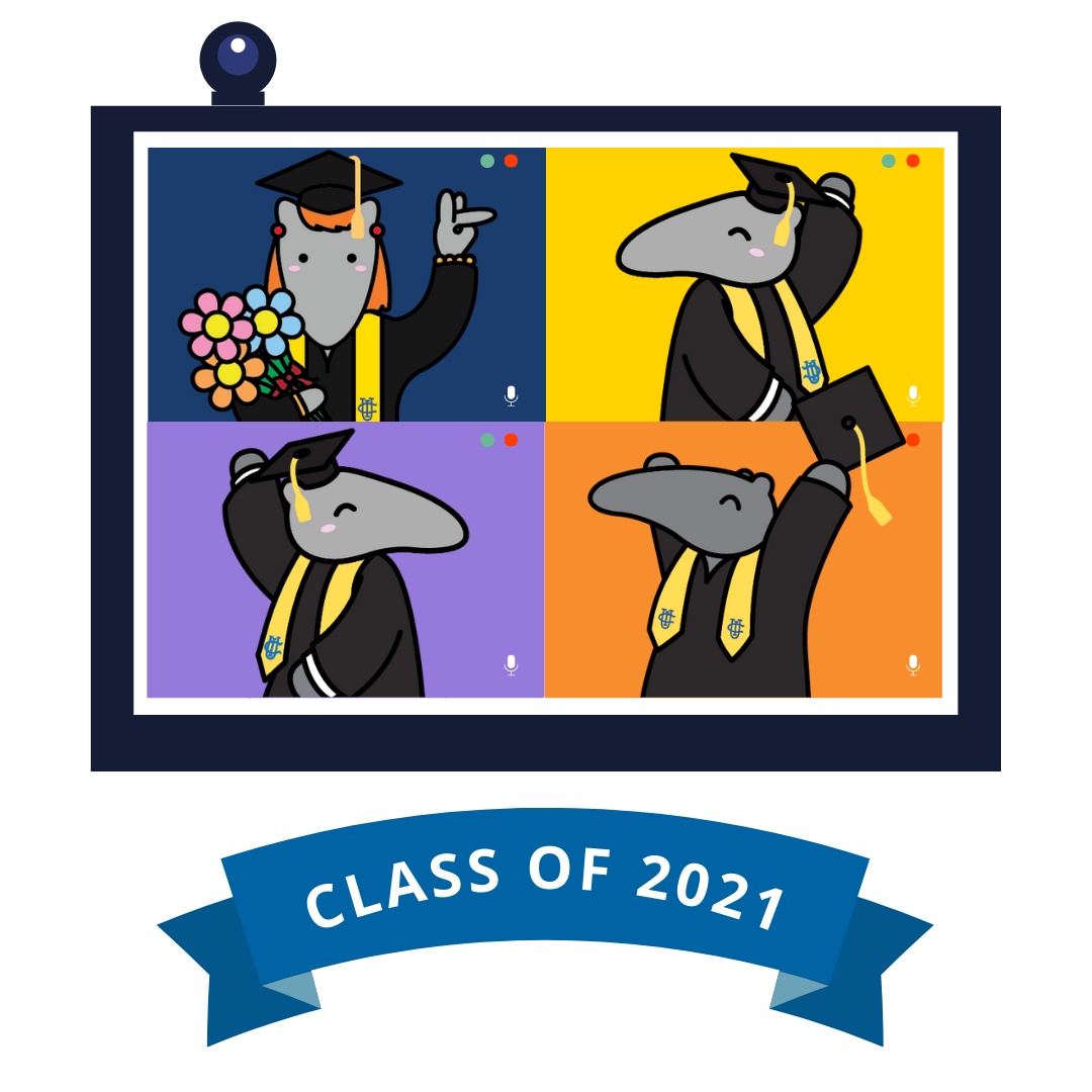 Graduated Anteater graphic