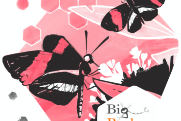 big biology butterfly
