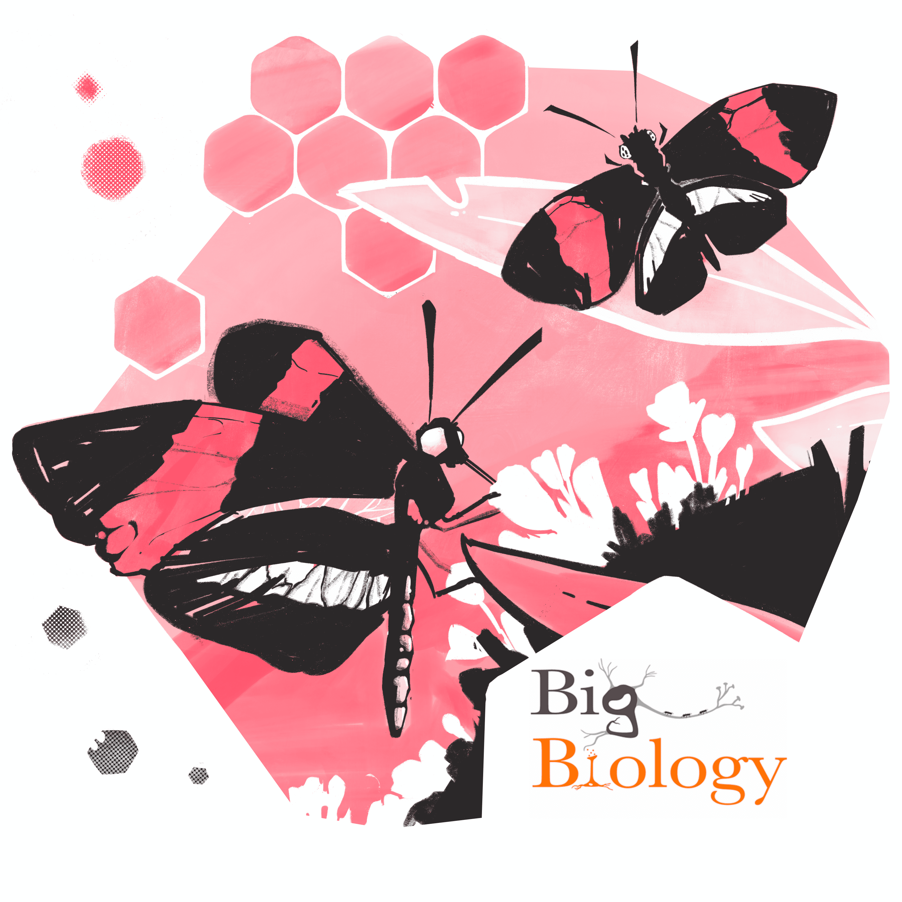 Pink Butterfly near Flower with caption: Big Biology