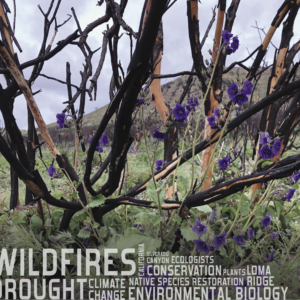 Wildfire Ashes research Vegetation