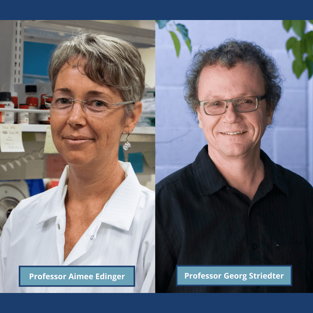 Aimee Edinger and Georg Striedter Selected as AAAS Fellows