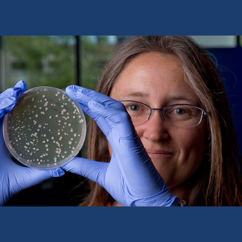 A Little Fiber for Your Health? Samueli Scholar Explores the Relationship Between Diet and the Gut Microbiome