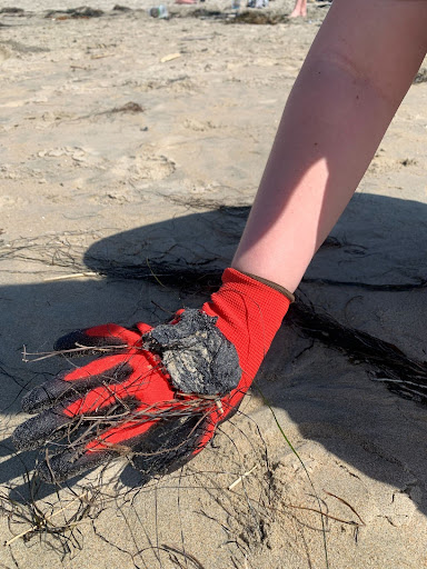 seaweed and black tar on a red glove at the beach