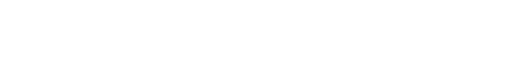 school logo no icon in white