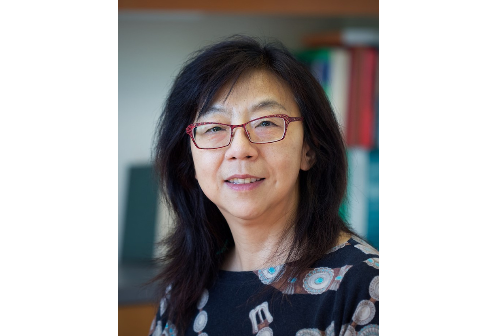 DCB Seminar Series: Yixian Zheng
