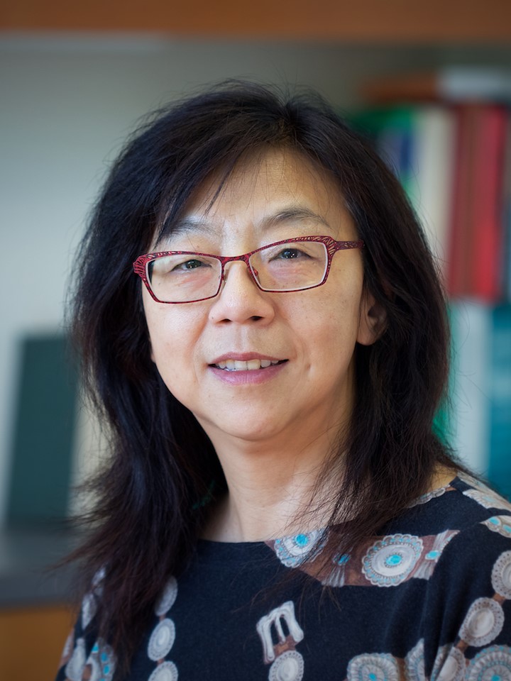 Dr. Yixian Zheng