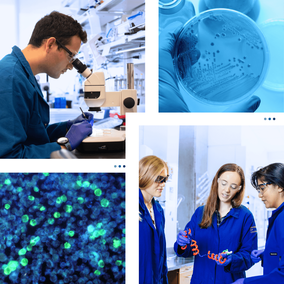 collage of students and lab work
