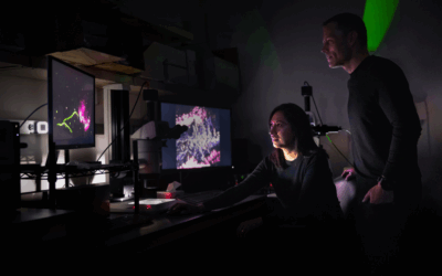 UC Irvine Team Maps Viral Spread in the Gut Microbiome at Single-Particle Resolution