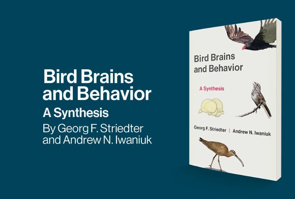 New Book by Professor Georg Striedter Explores the Inner Workings of Avian Behavior