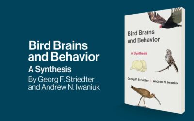 New Book by Professor Georg Striedter Explores the Inner Workings of Avian Behavior