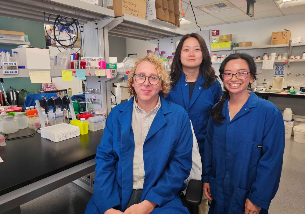 Assistant Professor Benjamin Morehouse, undergraduate Anny Wang, graduate student Eirene Marie Ednacot.