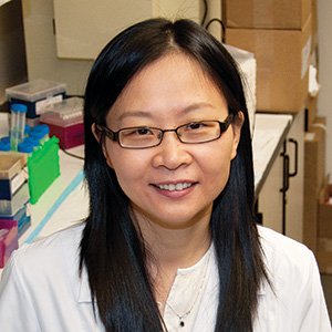 Mei Kong