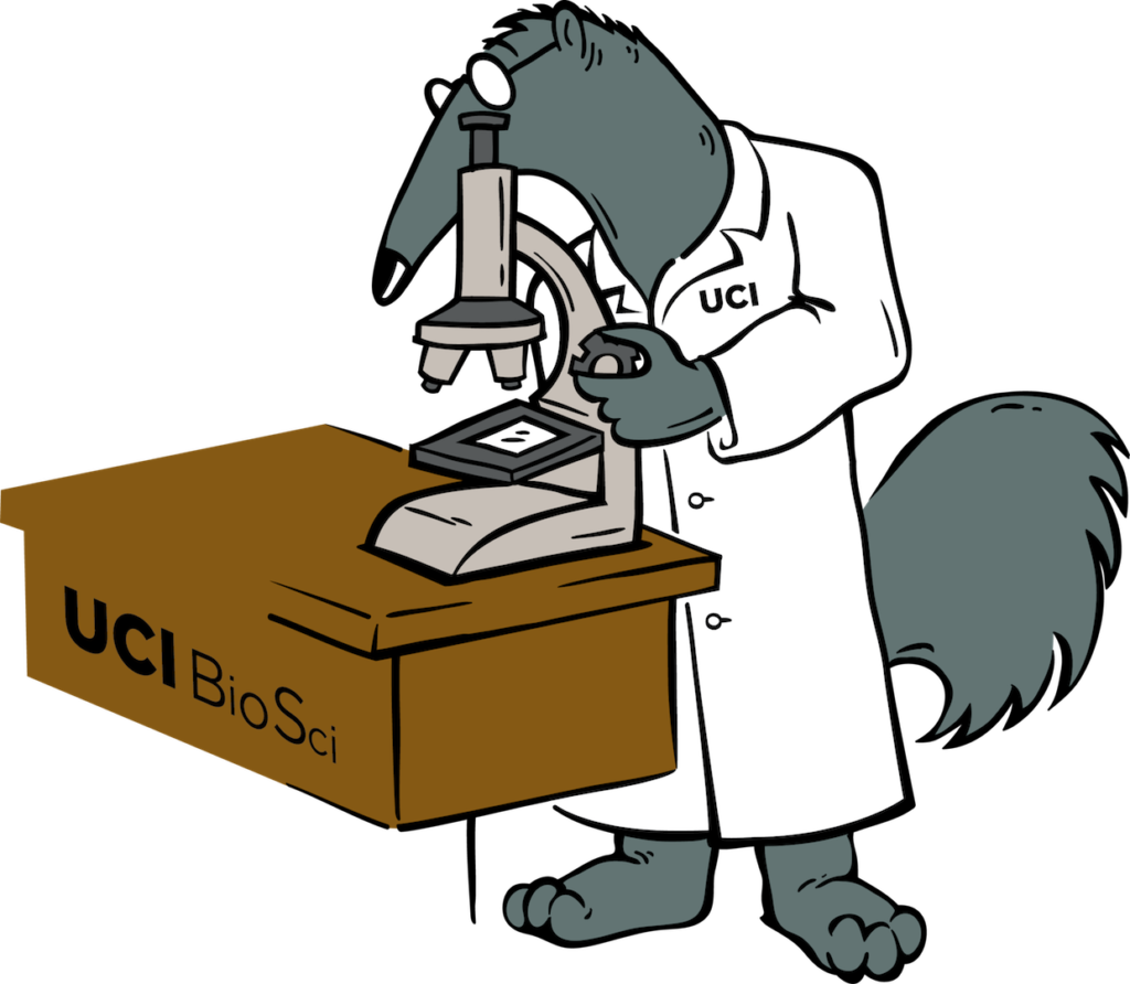 anteater in lab