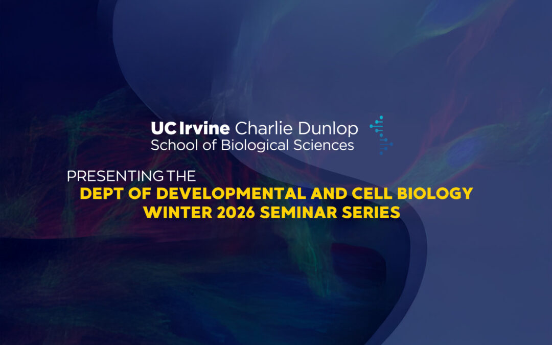DCB Seminar Series: Ashleigh Schaffer