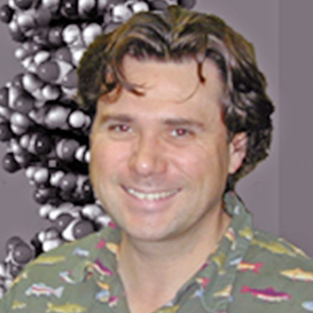 frank laferla